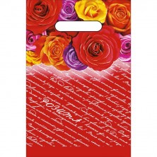 Пакеты с вырубной ручкой с лого и без